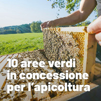 Avviso Aree verdi in concessione api apicoltura 200