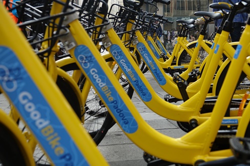 goodbike 1