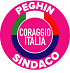Partito - coraggio Italia_Peghin 2022