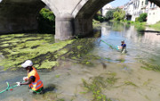 Progetto "Valorizziamo i canali cittadini" Piovego Ponte Molino