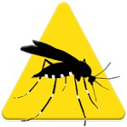 App Mosquito Alert 140