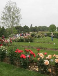 Visite guidate al Roseto Santa Giustina